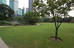 公园景观