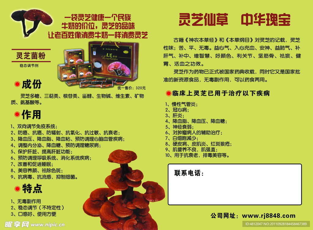 灵芝