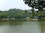 厦门万石植物园风景