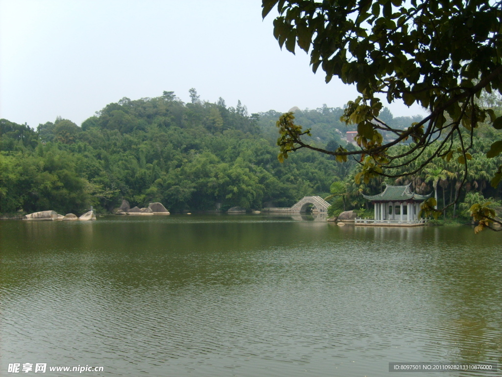 厦门万石植物园风景