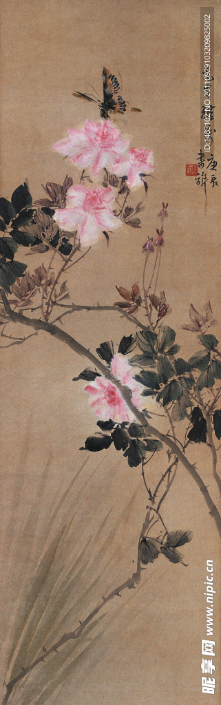月季蝴蝶