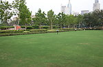 公园景观参考图片