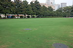 公园景观参考图片