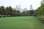 公园景观参考图片