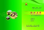 中国石油HSE程序文件封面