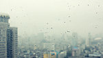 雨后的窗外