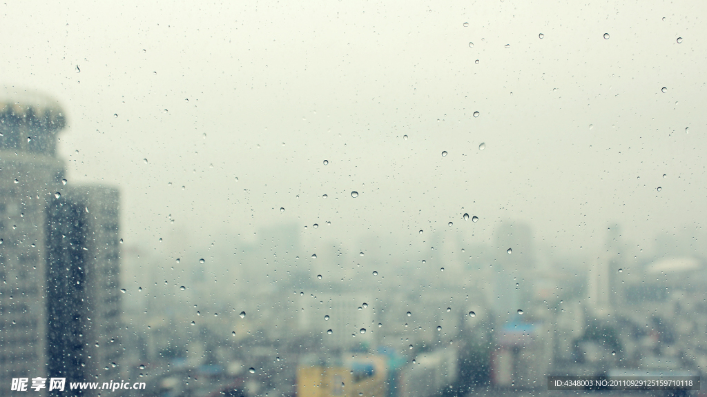 雨后的窗外