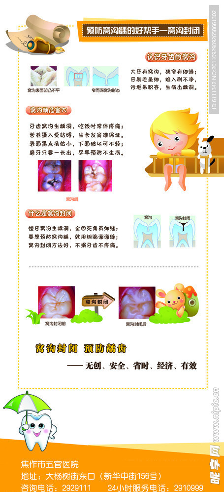 窝沟牙x展架