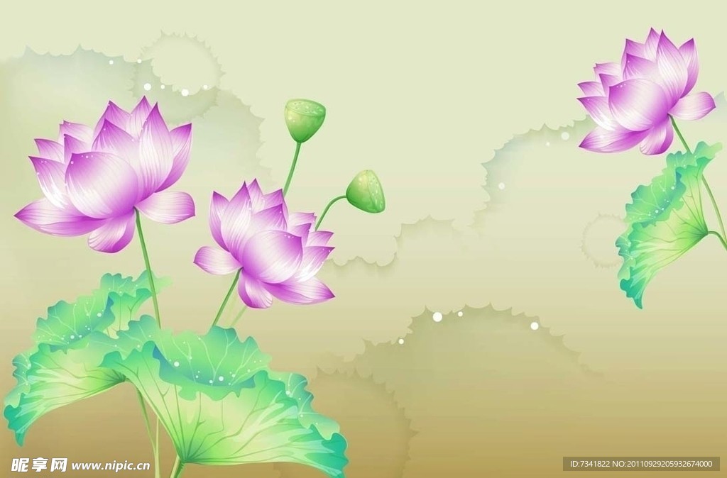 荷花