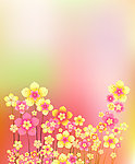 黄花移门