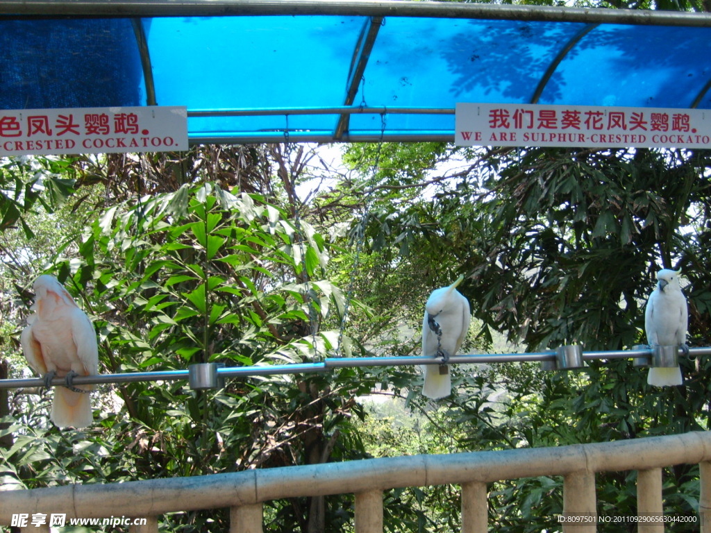 动物园的
