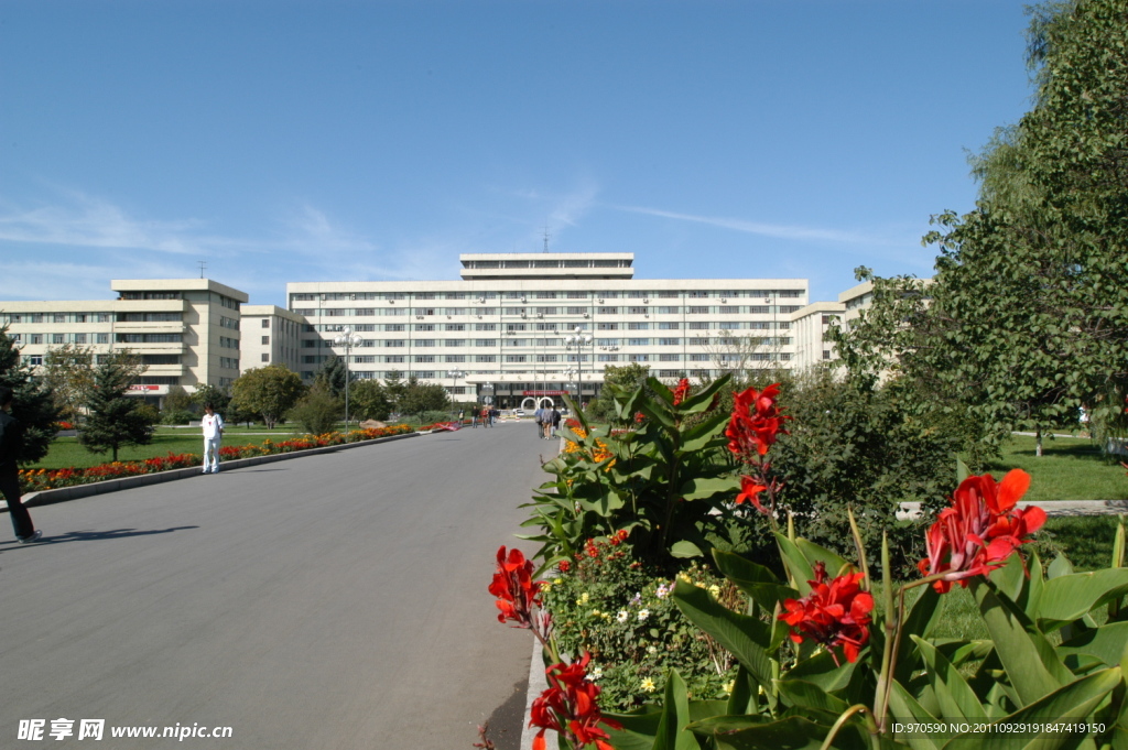 东北农业大学主楼
