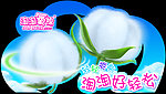 洁伶异形吊牌