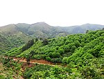 青山