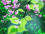 绿色植物