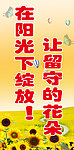 标语展板