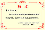 聘书 花边