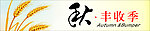 秋 丰收