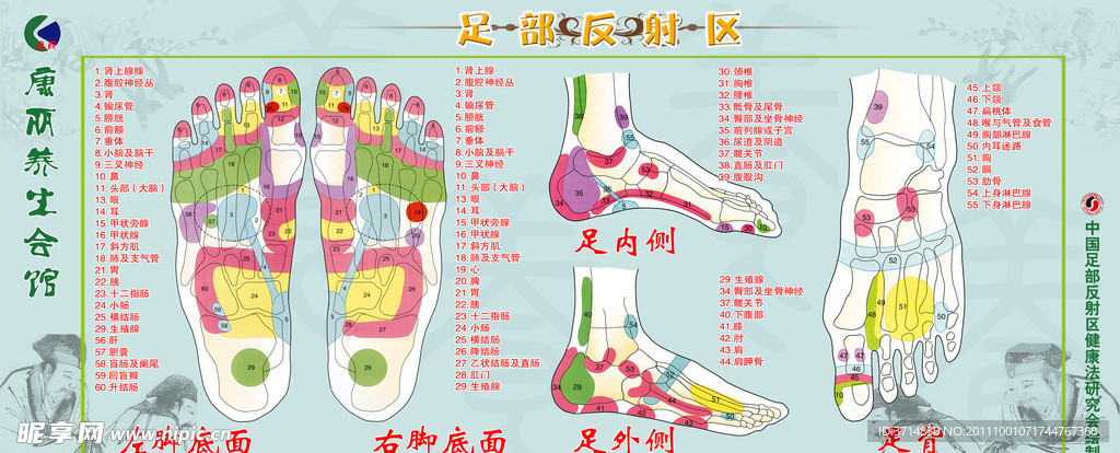 足疗穴位图