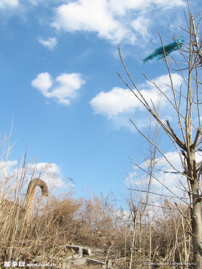 仰视天空