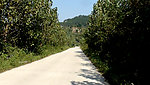 通村公路
