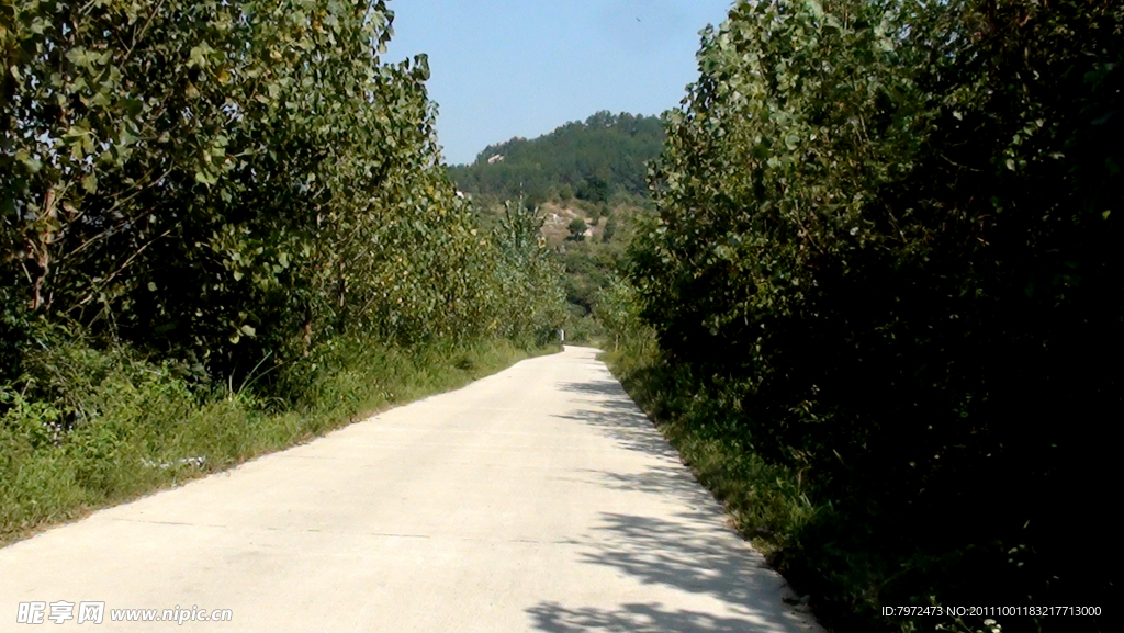 通村公路