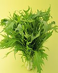 香菜