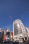 国外城市