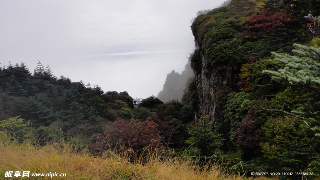 峨眉山风景