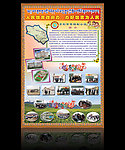 两基展板