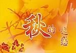 秋的迷惑