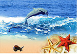 海豚在嬉戏