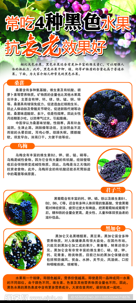 黑色水果抗衰老杂志排版设计宣传页