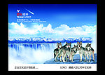 企业文化 团队精神