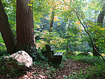 栖霞山风景