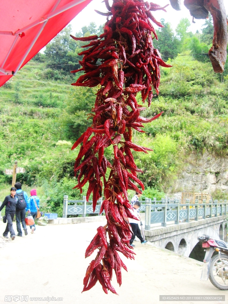 辣椒