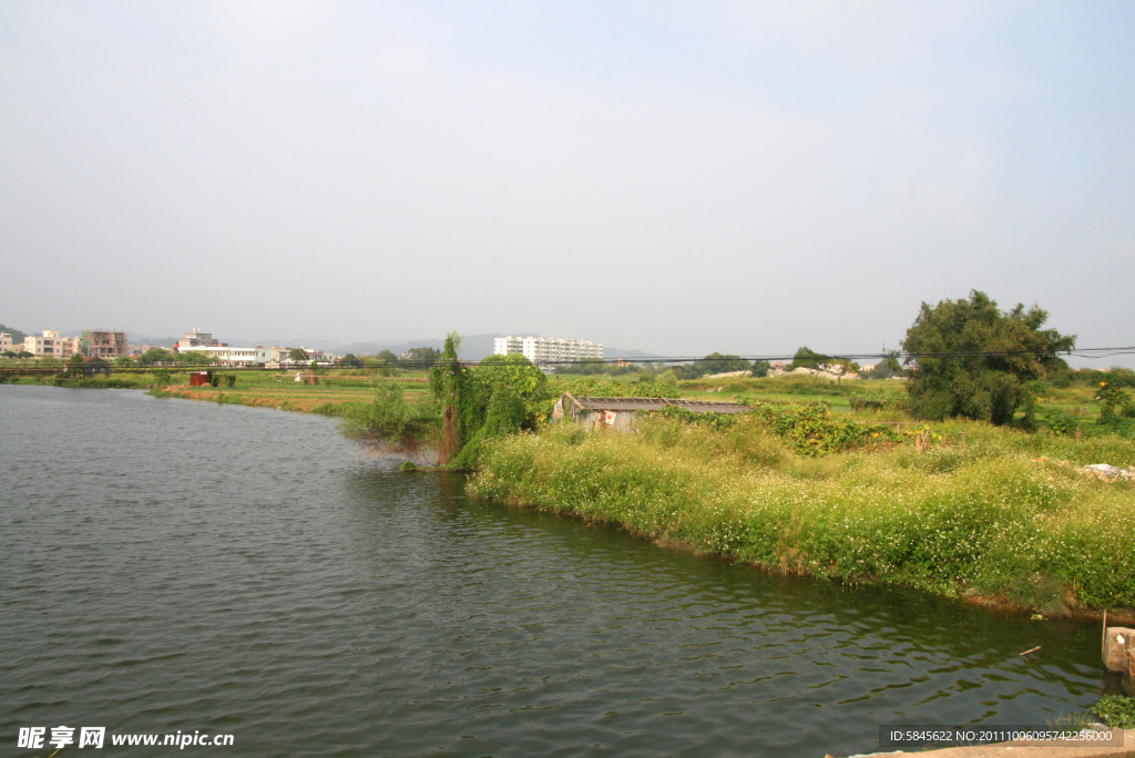 河畔野花(非高清)