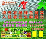 农场