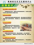 吸烟的危害