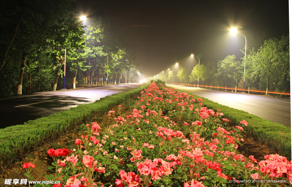 公路与鲜花图片