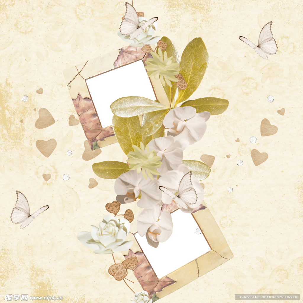 花朵蝴蝶相框相片背景设计