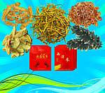 虫草参茸