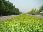 公路