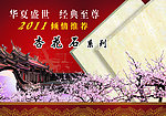瓷砖广告