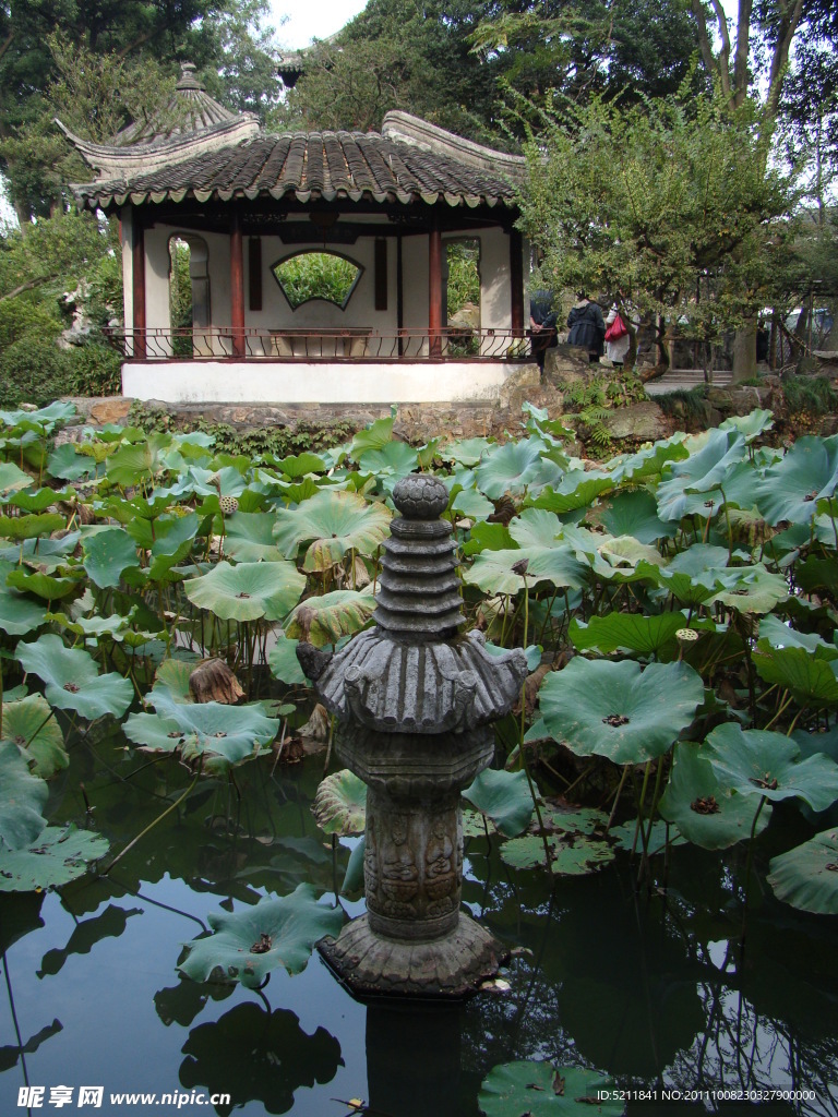 庭院