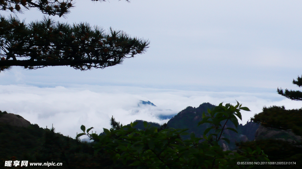 黄山云海