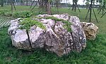 怪石