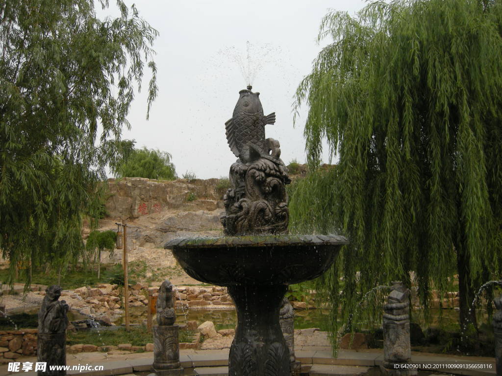 “ 鱼”日中天