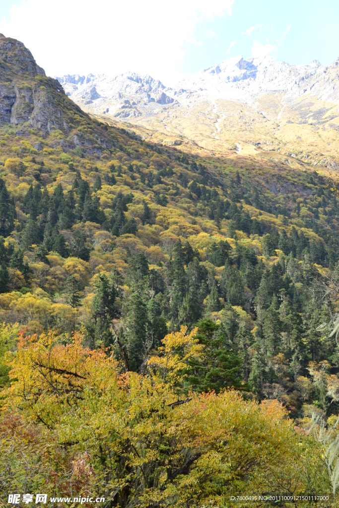 毕棚沟雪山青山