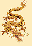 金龙